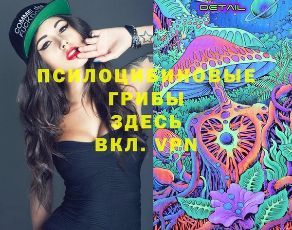 крисы Бугульма