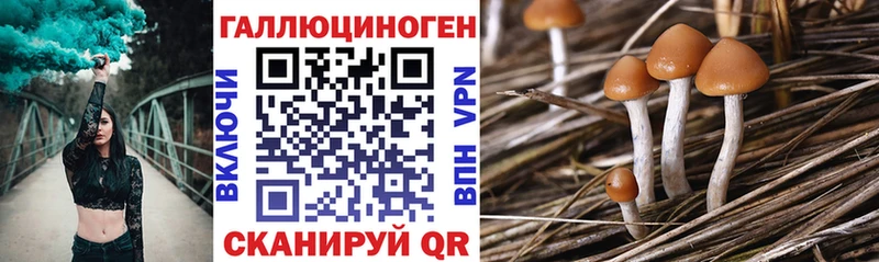 купить   OMG маркетплейс  Псилоцибиновые грибы мухоморы  Киренск 
